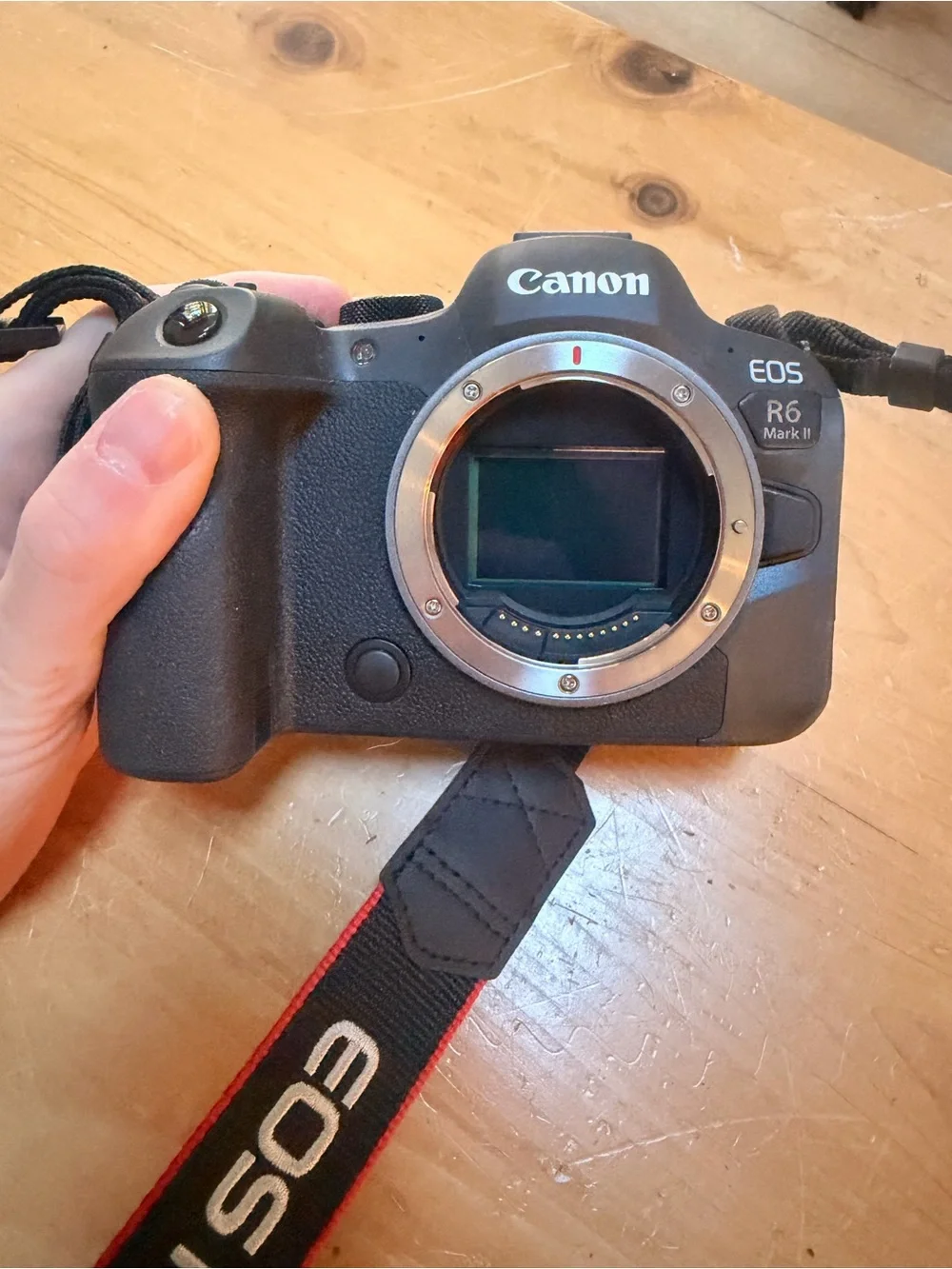 Canon EOS R6 Mark II Mirrorless Camera - Black Body with Black Lens NWOT